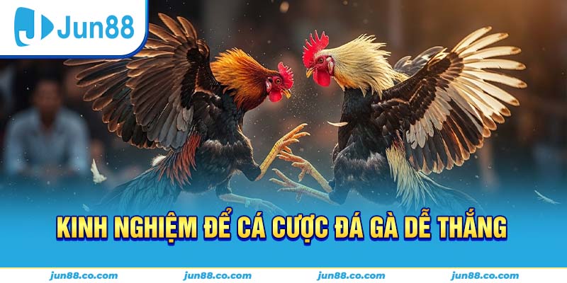 Mẹo quản lý ngân sách khi tham gia đá gà Jun88