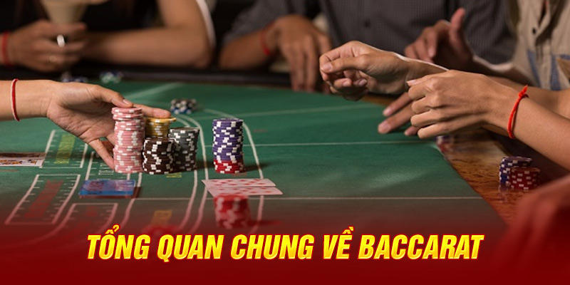 Phân tích cầu baccarat trực quan