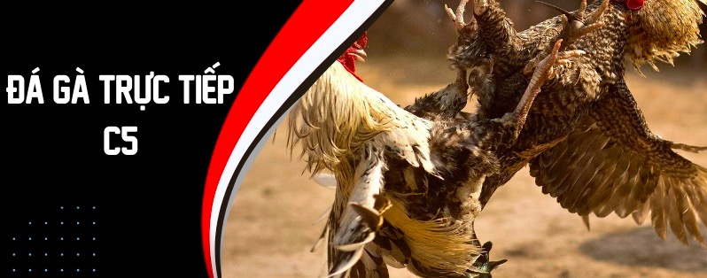 Jun88 cập nhật liên tục các trận nổi bật